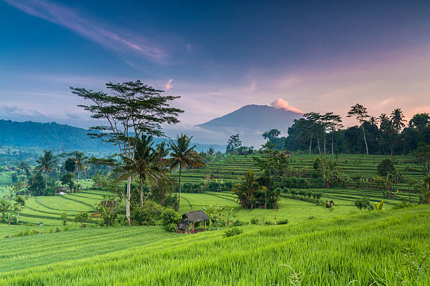 Bali Harmony: Adventure, Culture and  Romance